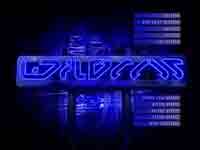 wildcat